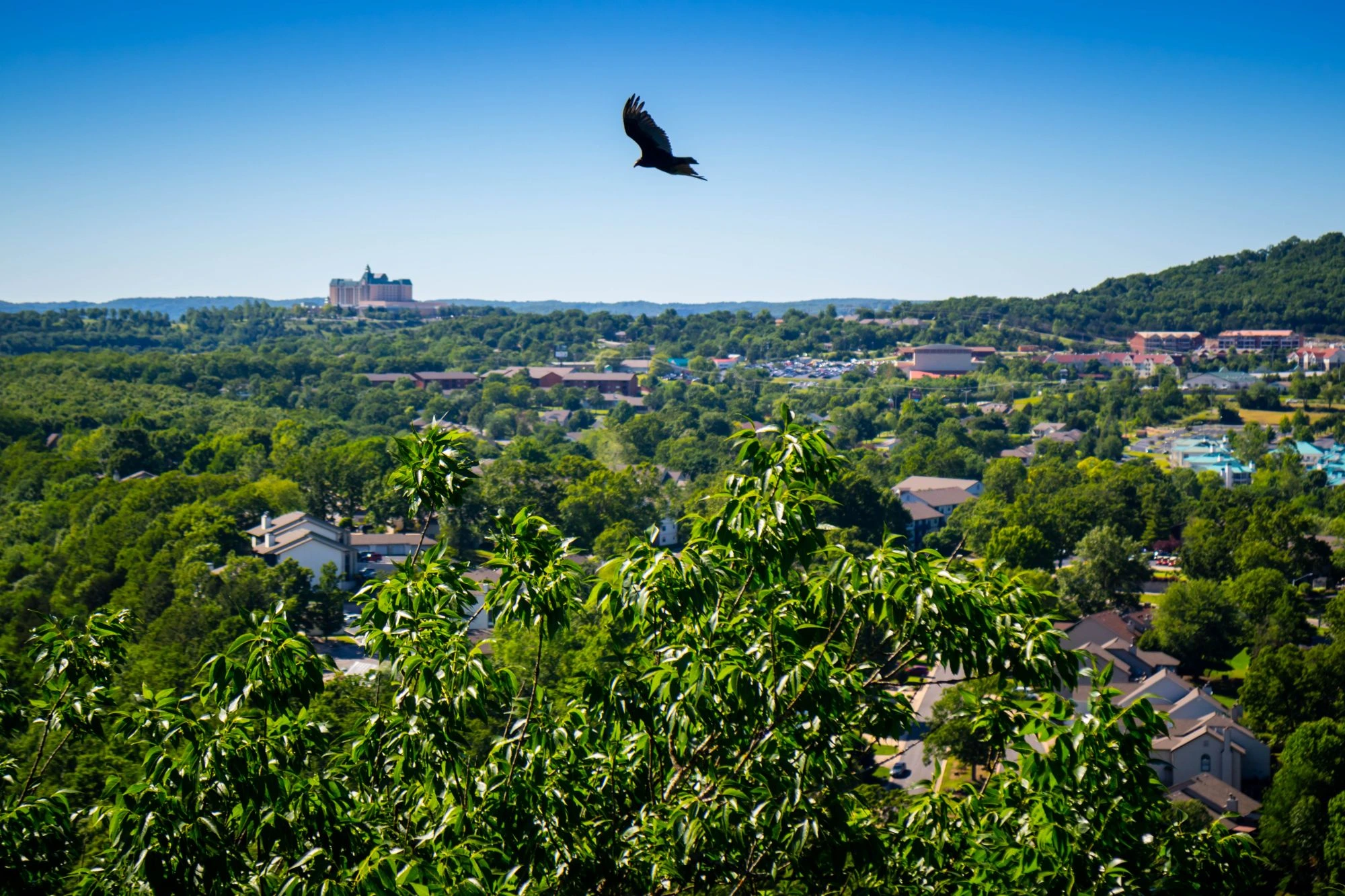 Aurora Property Management